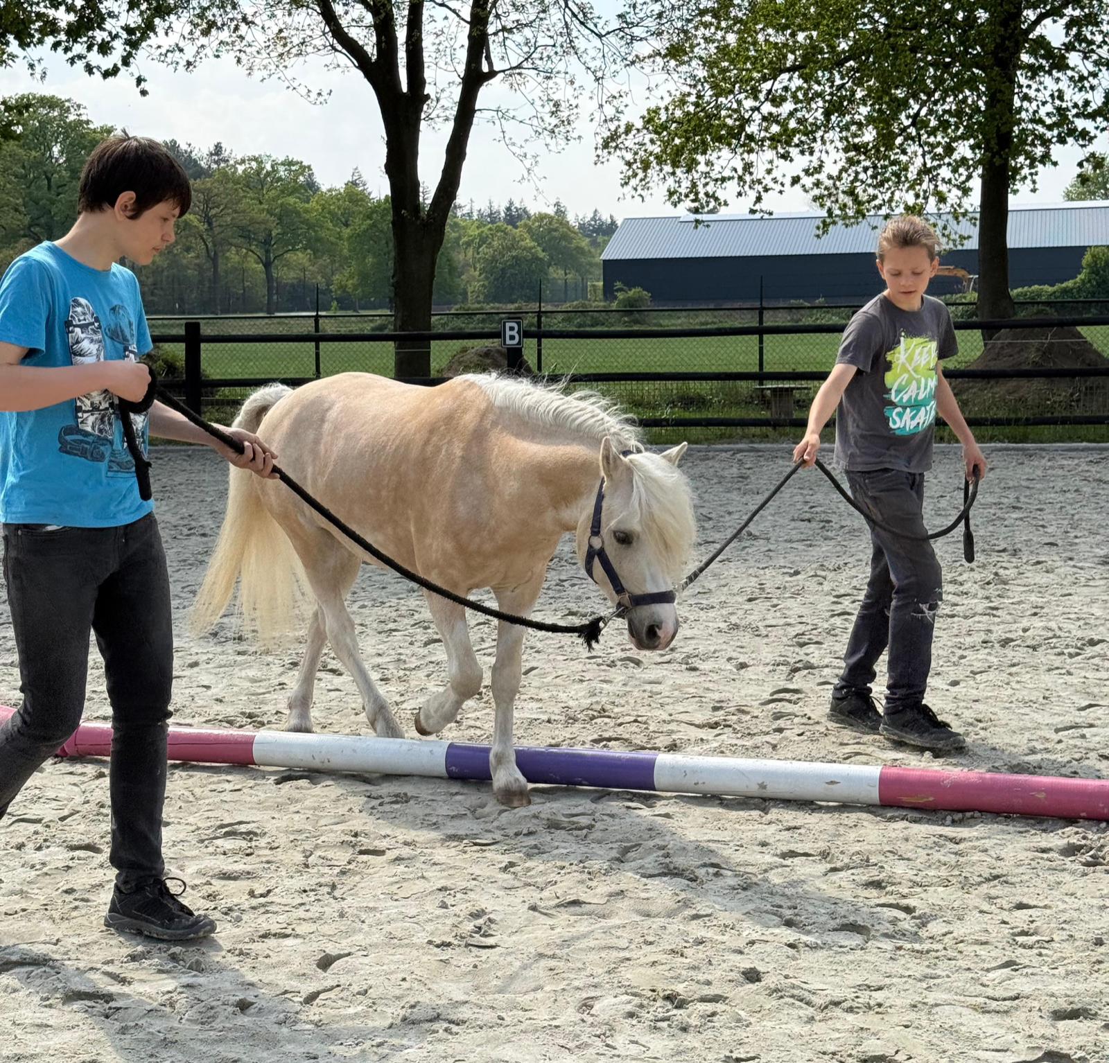 paardencoaching kindercoaching pony paard coaching